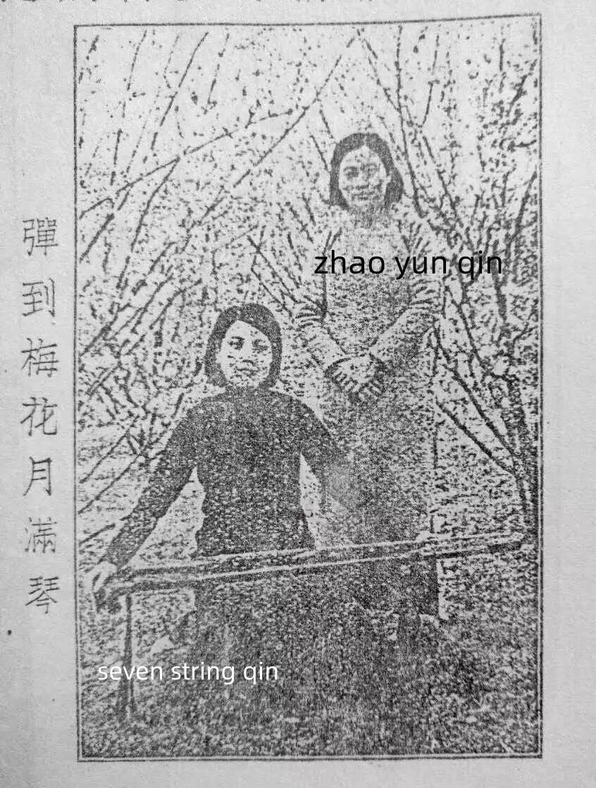 Tasting Mei · V : The Lady with Two Qin
