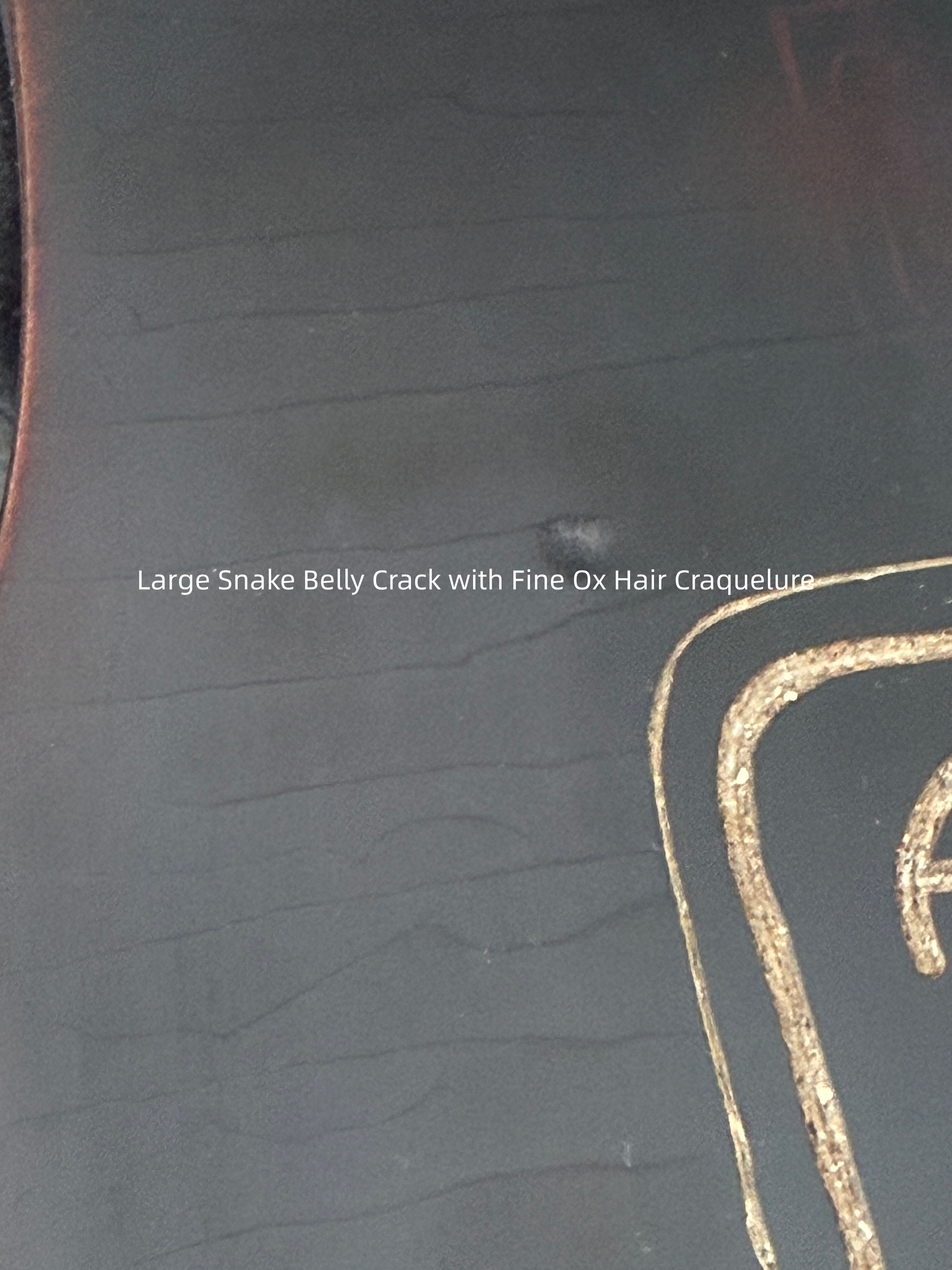Da Sheng Yi Yin Guqin – Replica of the Tang Dynasty Imperial Qin from the Palace Museum