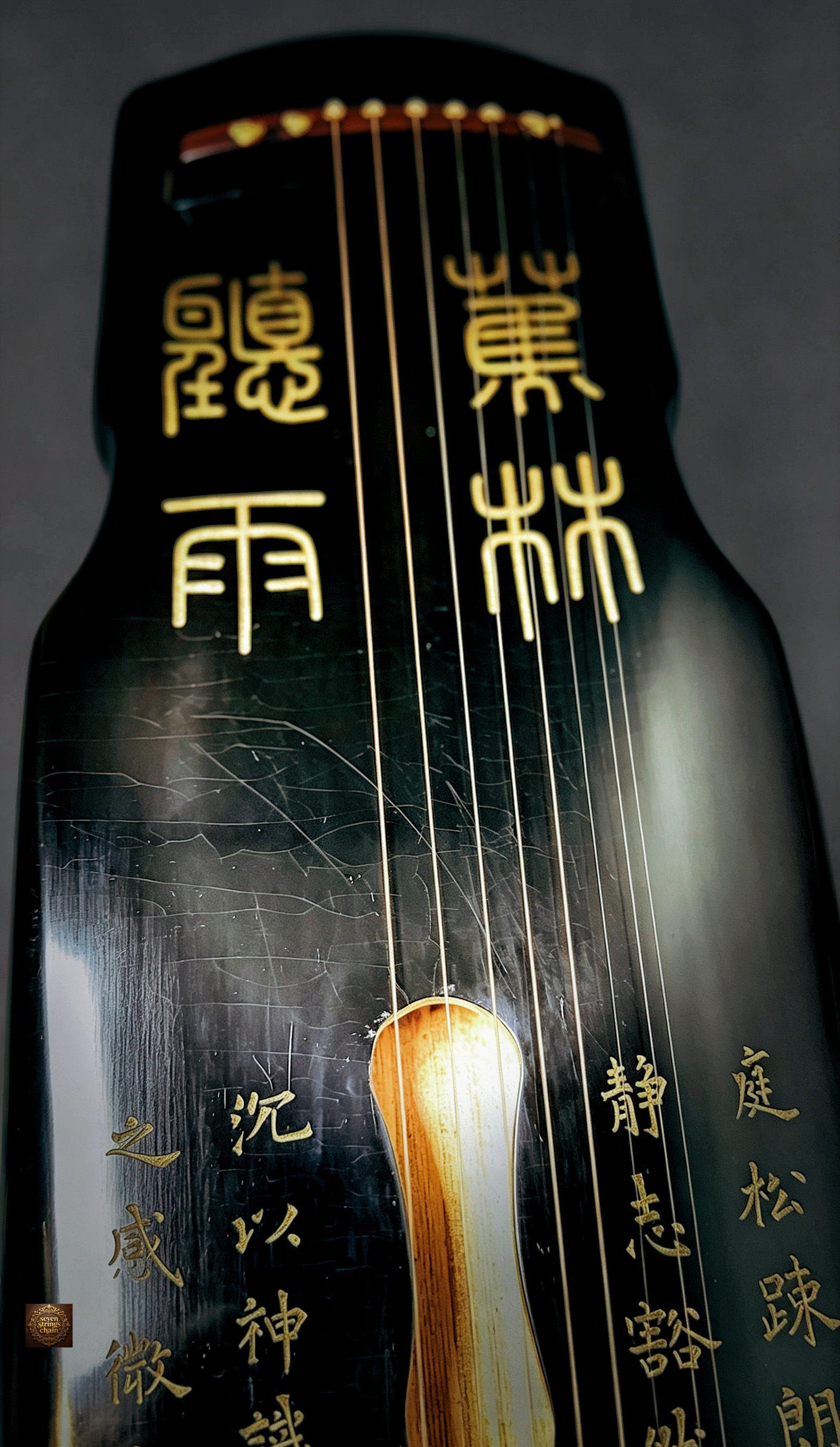 Jiaolin Tingyu Guqin – upper body close-up showing gold-inlaid name "蕉林听雨" and classical inscriptions